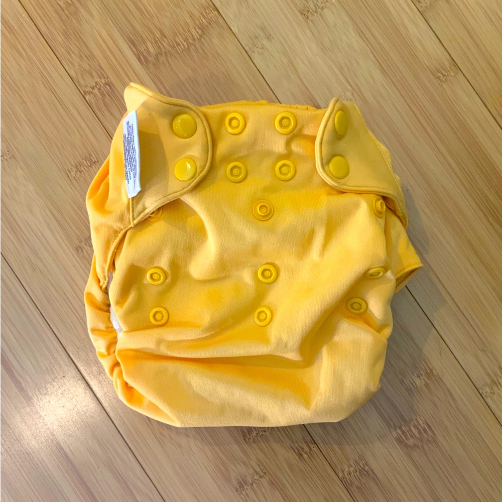 Bum Genius Cloth Diaper All In One E3